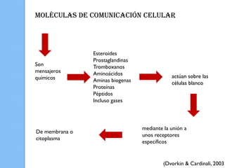 Moléculas de comunicación celular




                Esteroides
                Prostaglandinas
Son             Tromboxanos
mensajeros      Aminoácidos
químicos                                      actúan sobre las
                Aminas biogenas               células blanco
                Proteínas
                Péptidos
                Incluso gases



                                  mediante la unión a
De membrana o
                                  unos receptores
citoplasma
                                  específicos


                                           (Dvorkin & Cardinali, 2003
 