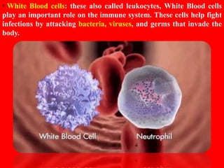 HUMAN CIRCULATORY SYSTEM CHAPTER 8 - CBSE BIOLOGY CLASS-VII