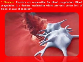 HUMAN CIRCULATORY SYSTEM CHAPTER 8 - CBSE BIOLOGY CLASS-VII