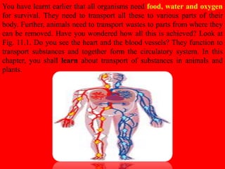 HUMAN CIRCULATORY SYSTEM CHAPTER 8 - CBSE BIOLOGY CLASS-VII