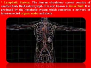 HUMAN CIRCULATORY SYSTEM CHAPTER 8 - CBSE BIOLOGY CLASS-VII
