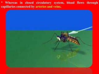 HUMAN CIRCULATORY SYSTEM CHAPTER 8 - CBSE BIOLOGY CLASS-VII