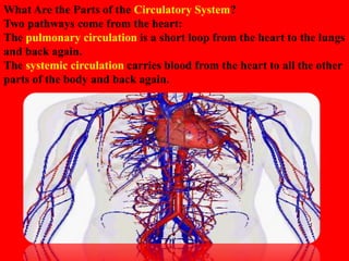 HUMAN CIRCULATORY SYSTEM CHAPTER 8 - CBSE BIOLOGY CLASS-VII