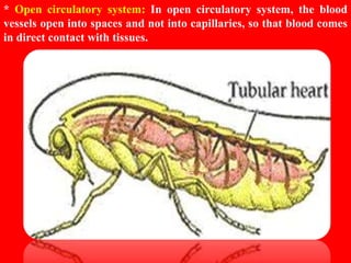 HUMAN CIRCULATORY SYSTEM CHAPTER 8 - CBSE BIOLOGY CLASS-VII