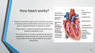 How heart works?
• Heart is a muscular organ which works like a pump in
circulatory systems and arteries and veins acts as the
pipes to supply the blood to respective organs.
• A heart beat is consist of systole(contraction) and
diastole (relaxation) cycle.
• This contraction in muscle is caused by the electric
impulse generated through SA node and AV node
and bundle of HIS are responsible for its proper
distribution.
 
