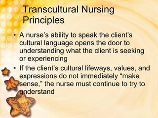 transcultural principles