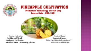 PINEAPPLE CULTIVATION
Production Technology of Fruit Crop
Course Code : HOR-1301
Course Instructor Student Name
Dr. Harpal Singh Deepak Kumar
Assistant Professor M.Sc. (Ag.) Horticulture (IYear)
Bundelkhand University, Jhansi Enroll-BU0200019296
 