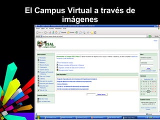 El Campus Virtual a través de imágenes 