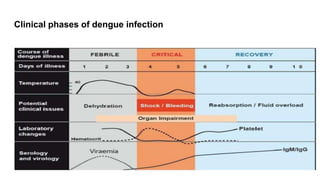 PPT dengue management and guidelines in india | PPT