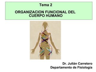 Tema 2
ORGANIZACION FUNCIONAL DEL
     CUERPO HUMANO




                      Dr. Julián Carretero
               Departamento de Fisiología
 