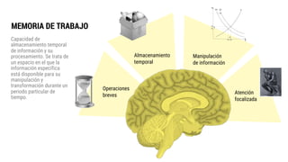 Capacidad de
almacenamiento temporal
de información y su
procesamiento. Se trata de
un espacio en el que la
información específica
está disponible para su
manipulación y
transformación durante un
periodo particular de
tiempo.
MEMORIA DE TRABAJO
Atención
focalizada
Manipulación
de información
Almacenamiento
temporal
Operaciones
breves
 