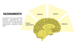 Facultad que nos permite
resolver problemas de
diversa índole de manera
consciente estableciendo
relaciones causales entre
ellos.
RAZONAMIENTO
Lógico y
argumentativo
Deductivo Inductivo
Abductivo
 