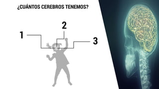 ¿CUÁNTOS CEREBROS TENEMOS?
1
2
3
 