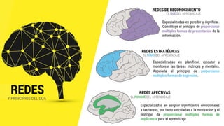 REDESY PRINCIPIOS DEL DUA
REDES DE RECONOCIMIENTO
REDES AFECTIVAS
REDES ESTRATÉGICAS
EL QUÉ DEL APRENDIZAJE
EL CÓMO DEL APRENDIZAJE
EL PORQUÉ DEL APRENDIZAJE
Especializadas en percibir y significar.
Constituye el principio de proporcionar
múltiples formas de presentación de la
información.
Especializadas en planificar, ejecutar y
monitorear las tareas motrices y mentales.
Asociada al principio de proporcionar
múltiples formas de expresión.
Especializadas en asignar significados emocionales
a las tareas, por tanto vinculadas a la motivación y el
principio de proporcionar múltiples formas de
implicancia para el aprendizaje.
 
