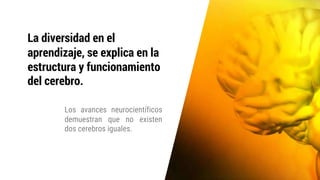 Los avances neurocientíficos
demuestran que no existen
dos cerebros iguales.
La diversidad en el
aprendizaje, se explica en la
estructura y funcionamiento
del cerebro.
 