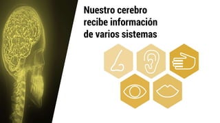 Nuestro cerebro
recibe información
de varios sistemas
 