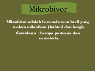 Mikrobivoradalah hewan-hewan kecil yang
makan mikroflora (bakteri dan fungi).
Contohnya : berupa protozoa dan
nematoda.
Mikrobivor
 