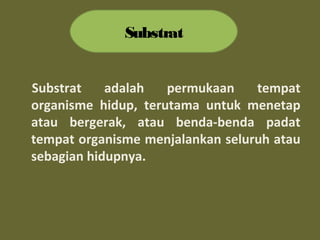 Substrat adalah permukaan tempat
organisme hidup, terutama untuk menetap
atau bergerak, atau benda-benda padat
tempat organisme menjalankan seluruh atau
sebagian hidupnya.
Substrat
 