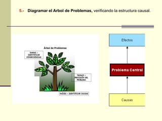 5.- Diagramar el Arbol de Problemas, verificando la estructura causal.
 