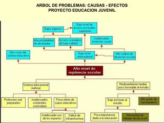 ARBOL DE PROBLEMAS: CAUSAS - EFECTOS
PROYECTO EDUCACION JUVENIL
 
