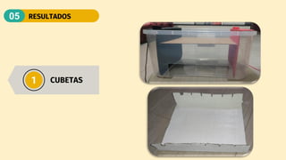 RESULTADOS
05
1 CUBETAS
 