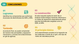 CONCLUSIONES
06
el producto final, se puede comprender
de manera más perceptible y espacial el
mecanismo y proceso de la electroforesis
en gel de agarosa.
identificar los componentes que conforman
el proceso de electroforesis de ADN y ARN.
de esta maqueta explica la razón de un
analyzer biotecnológico haciendo referencia a
un medio de separación especialmente eficaz
para las biomoléculas cargadas como el
ADN, el ARN.
de la electroforesis consiste en la migración de
las moléculas a través de un gel u otro tipo de
matriz de naturaleza porosa.
Teniendo
Logramos La construcción
El principio básico
01
02
03
04
 