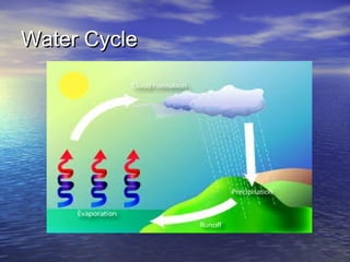 Water Cycle

 