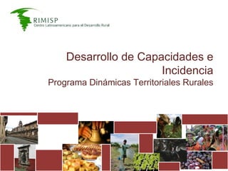 Desarrollo de Capacidades e Incidencia Programa Dinámicas Territoriales Rurales 