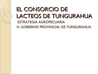 EL CONSORCIO DE LACTEOS DE TUNGURAHUA ESTRATEGIA AGROPECUARIA H. GOBIERNO PROVINCIAL DE TUNGURAHUA 
