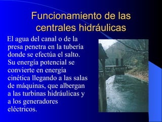 Funcionamiento de las centrales hidráulicas El agua del canal o de la presa penetra en la tubería donde se efectúa el salto. Su energía potencial se convierte en energía cinética llegando a las salas de máquinas, que albergan a las turbinas hidráulicas y a los generadores eléctricos.  