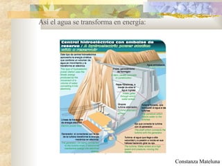 Así el agua se transforma en energía: Constanza Mateluna 