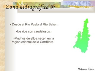 D esde el Río Puelo al Río Baker . los ríos son caudalosos  . M uchos de ellos nacen en la región oriental de la Cordillera.    Zona hidragráfica 5: Makarena Olivos 