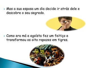 Mas a sua esposa um dia decide ir atrás dele e
descobre o seu segredo.
 Como era má e egoísta fez um feitiço e
transformou os oito rapazes em tigres.
 