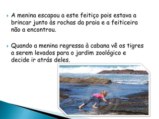  A menina escapou a este feitiço pois estava a
brincar junto às rochas da praia e a feiticeira
não a encontrou.
 Quando a menina regressa à cabana vê os tigres
a serem levados para o jardim zoológico e
decide ir atrás deles.
 