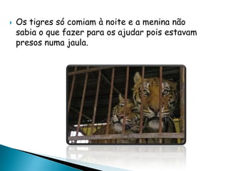  Os tigres só comiam à noite e a menina não
sabia o que fazer para os ajudar pois estavam
presos numa jaula.
 
