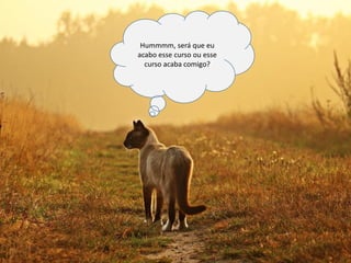 Hummmm, será que eu
acabo esse curso ou esse
curso acaba comigo?
 