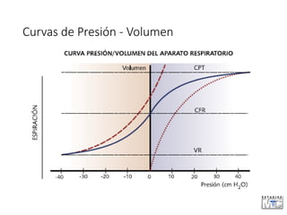 Curvas de Presión - Volumen
 