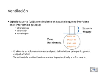 Ventilación
• Espacio Muerto (VD): aire circulante en cada ciclo que no interviene
en el intercambio gaseoso:
• VD anatómico
• VD alveolar
• VD fisiológico
• El VD varía en volumen de acuerdo al peso del individuo, pero por lo general
es igual a 150ml.
• Variación de la ventilación de acuerdo a la profundidad y a la frecuencia.
}
Zona
Respiratoria
Espacio
Muerto
PO2= 100
PCO2= 40
PN2 ~ 600
PH2O= 47
 
