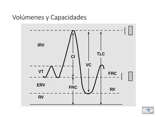 Volúmenes y Capacidades
 