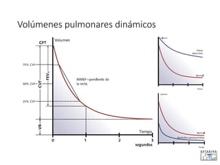 Volúmenes pulmonares dinámicos
 