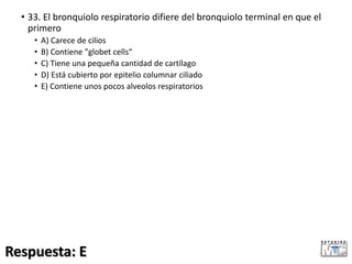 • 33. El bronquiolo respiratorio difiere del bronquiolo terminal en que el
primero
• A) Carece de cilios
• B) Contiene "globet cells“
• C) Tiene una pequeña cantidad de cartílago
• D) Está cubierto por epitelio columnar ciliado
• E) Contiene unos pocos alveolos respiratorios
Respuesta: E
 