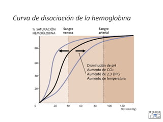 Curva de disociación de la hemoglobina
 
