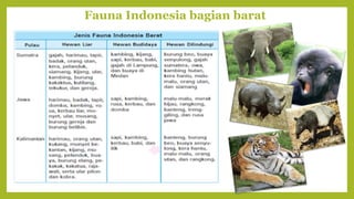 Fauna Indonesia bagian barat
 
