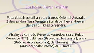 Ciri Hewan Daerah Peralihan
Pada daerah peralihan atau transisi Oriental-Australis
Sulawesi dan Nusa Tenggara) terdapat hewan-hewan
dengan ciri khas tersendiri.
Misalnya : komodo (Varanus komodoensis) di Pulau
Komodo (NTT), babi rusa (Babyrousa babyrussa), anoa
(Bubalus depressicornis), dan burung maleo
(Macrocephalon maleo) di Sulawesi
 