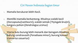 Ciri Hewan Indonesia bagian timur
1. Mamalia berukuran lebih Kecil.
2. Memiliki mamalia berkantong. Misalnya walabi kecil
(Dorcopsulus)vanheurni), walabi semak (Thylogale bruijni),
kanguru pohon (Dendrolagus ursinus)
3. Warna bulu burung lebih menarik dan beragam.Misalnya
burung cendrawasih (Paradisaea minor), burung kasuari
(Casuarius casuarius)
 