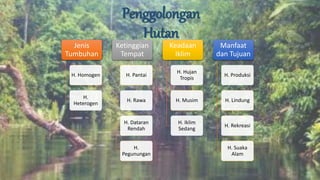 Penggolongan
Hutan
Jenis
Tumbuhan
H. Homogen
H.
Heterogen
Ketinggian
Tempat
H. Pantai
H. Rawa
H. Dataran
Rendah
H.
Pegunungan
Keadaan
Iklim
H. Hujan
Tropis
H. Musim
H. Iklim
Sedang
Manfaat
dan Tujuan
H. Produksi
H. Lindung
H. Rekreasi
H. Suaka
Alam
 