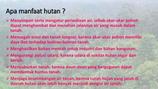 Apa manfaat hutan ?
 Menyimpan serta mengatur persediaan air, sebab akar-akar pohon
dapat menghambat dan menahan jalannya air yang masuk dalam
tanah.
 Mencegah erosi dan tanah longsor, karena akar-akar pohon memiliki
daya ikat terhadap butiran-butiran tanah.
 Menghasilkan bahan mentah untuk industri dan bahan bangunan.
 Mengurangi polusi udara, karena udara di sekitar hutan segar dan
bersih.
 Menyuburkan tanah, karena daun-daun yang berguguran dapat
membentuk humus tanah.
 Menjaga keseimbangan air tanah, karena curah hujan yang jatuh di
daerah hutan akan lebih banyak menjadi pengisi air tanah.
 