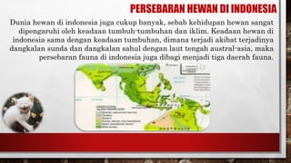 PERSEBARAN HEWAN DI INDONESIA
Dunia hewan di indonesia juga cukup banyak, sebab kehidupan hewan sangat
dipengaruhi oleh keadaan tumbuh-tumbuhan dan iklim. Keadaan hewan di
indonesia sama dengan keadaan tumbuhan, dimana terjadi akibat terjadinya
dangkalan sunda dan dangkalan sahul dengan laut tengah austral-asia, maka
persebaran fauna di indonesia juga dibagi menjadi tiga daerah fauna.
 