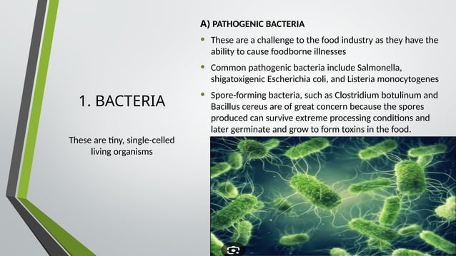 PPT - FOOD MICROBIOLOGY.pptx (Food Quality and Safety) | PPTX ...