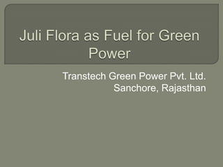 Juli Flora as Fuel for Green Power Transtech Green Power Pvt. Ltd. Sanchore, Rajasthan 